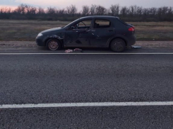 Три ребенка пострадали в ДТП в Волгоградской области