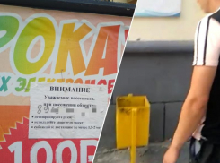 «Обматерил по пьяной лавочке»: неадекватное поведение сотрудника проката в парке снял на видео житель Волжского