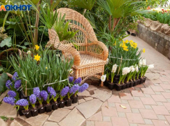 В канун 8 марта в Волжском оштрафовали продавцов цветов