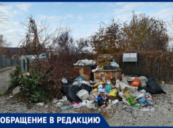 «На улице невозможно находиться!»- дачники жалуются на свалку в Волжском