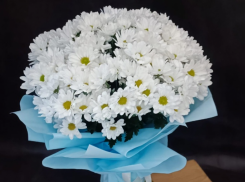 Февроньки и ромашки: как правильно поздравлять с Днем семьи, любви и верности