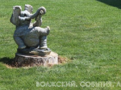 Волжане разыскивают покемона-слонёнка по городу