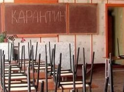В Волжском с 27 января еще 9 школ закрыто на карантин 