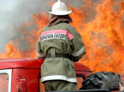 На острове Зеленом в СНТ «Мичуринец» выгорел дачный дом