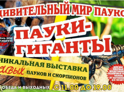 Спешите увидеть экзотическую живую коллекцию