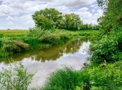 В Волго-Ахтубинской пойме прошла акция «Сохраним родные озера»