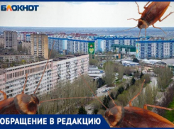 Рыжий усатый сосед оказался в постели жительницы Волжского
