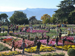 Филиал легендарного Никитского сада откроют в Волжском 