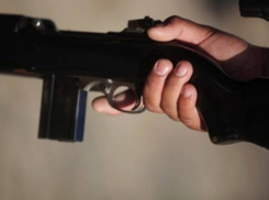 Под Волгоградом дачник с винтовкой в руках отказывался платить за электроэнергию