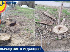 Старые листья и сухие ветки некому убрать в Волжском дворе