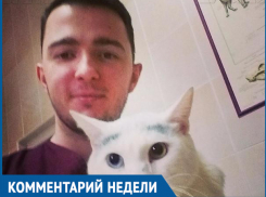 Комментарий недели: коты не нуждаются в татуировках, - волжский ветеринар