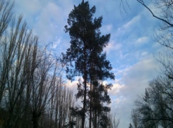 Переменчивую погоду в Волжском спрогнозировали в последнюю мартовскую пятницу