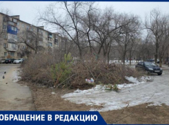 Свалку из веток и мусора 3 месяца не могут убрать во дворе в Волжском