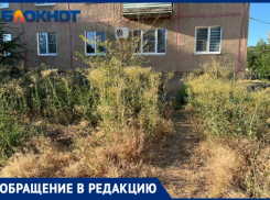 «Гниющую голову с плеч»: волжане о руководстве УК «Лада Дом»