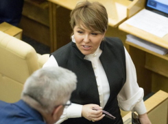 «Решения Путина помогут поддержать экономику на плаву», - депутат Госдумы Ирина Гусева