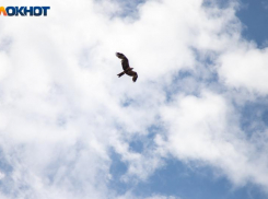 Дождливый четверг прогнозируют в Волжском: погода