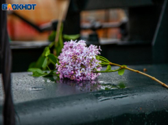 В Волжском детском ботаническом саду высадят «Сирень Победы»