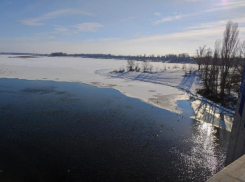 «Серые шейки» оккупировали полынью в Волжском