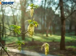 Солнце и жара +20: погода на понедельник в Волжском 