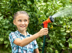 Расходы на полив деревьев во дворе «повесили» на жителей многоэтажек в Волжском