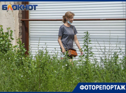 Сорняки по колено и опасные сухостои: фоторепортаж из дворов Волжского