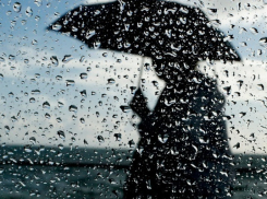 Волжан ожидает дождливая неделя 