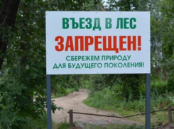 В Волго-Ахтубинской пойме наложили запрет на автопробег