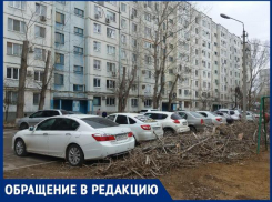 «Двор завалили сухим валежником»,- волжанка
