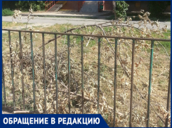 «Спилили и бросили, а это пожароопасно»,- волжанка