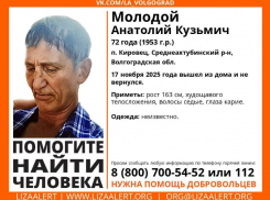 Вышел из дома и не вернулся: недалеко от Волжского пропал 72-летний Анатолий Кузьмич