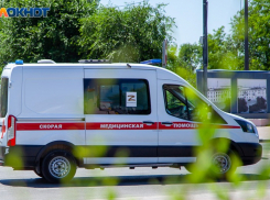 4-летнюю девочку спасают в больнице после укуса паука в Волжском