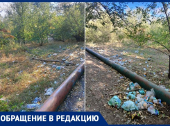 Огромная нелегальная свалка расположилась в Волжском на Пушкина 