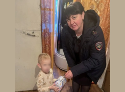 В Волжском подвели итоги новогодней профилактики с детьми
