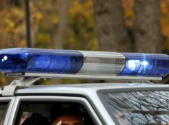 Волжане устроили драку в салоне мобильной связи