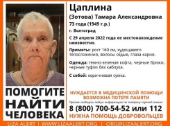 У волжан просят помощи в поисках без вести пропавшей пенсионерки