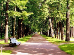 Волжане прогуляются по «Экобульвару»