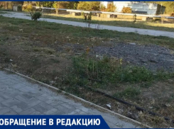 «Сад памяти» героям ВОВ в Волжском превратился в засохший пустырь через год после открытия