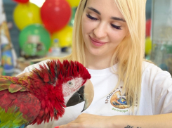 Экопарк «Крошка на ладошке» ждет в гости!