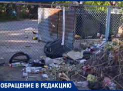 В Волжском решили развести крыс: волжане жалуются на полную антисанитарию во дворах города