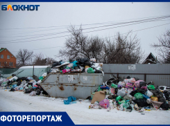 На острове Зеленый волжский СНТ «Труд» захлебывается в отходах