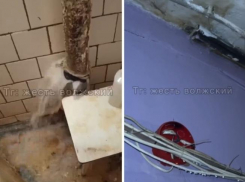 «Вам сейчас никто не поможет»: в Волжском заливает водой целый дом, а стены бьют током жителей