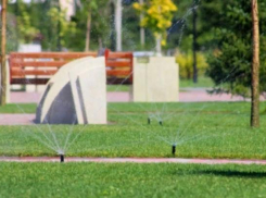 В Волжском создан штаб по контролю за поливом зеленых наслаждений