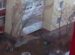 Труп под балконами: очередное печальное происшествие в Волжском