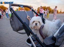 В последнюю субботу марта волжанам покажут кино в парке