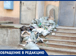 Куча мусора лежит у подъезда уже месяц: жители жалуются на захламление в Волжском