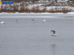 Мороз крепчает: погода в Волжском на выходных