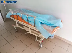 Волжанам напомнили, как защититься от ГЛПС и предотвратить заражение хантавирусами