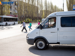 Волжане не верят, что стоимость проезда в маршрутках может стать ниже