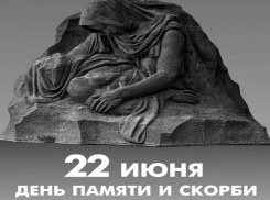 Волжане посмотрят онлайн концерт Волгоградской филармонии