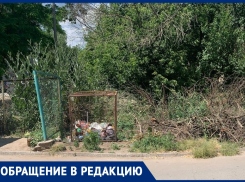 Течет крыша, растет трава: волжанка рассказала о нерадивой УК